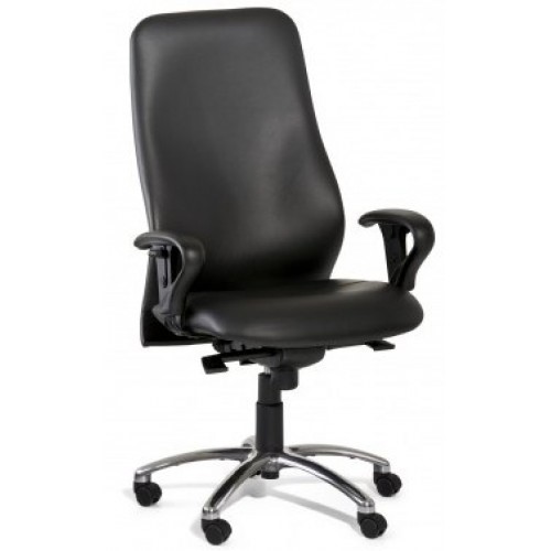 Gregory Slimline Ultra Executive Chair - Leather - CLR